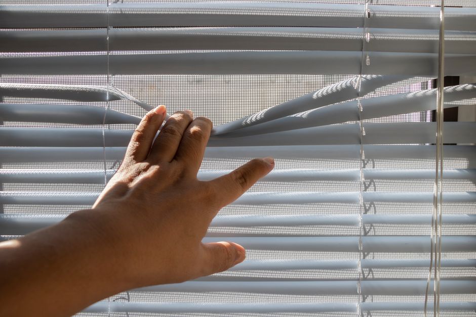 Professional installing custom window blinds